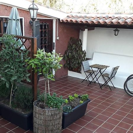 Apartamento Tranquilo En Una Casa Con Jardin La Laguna  Bagian luar foto