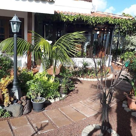 Apartamento Tranquilo En Una Casa Con Jardin La Laguna  Bagian luar foto