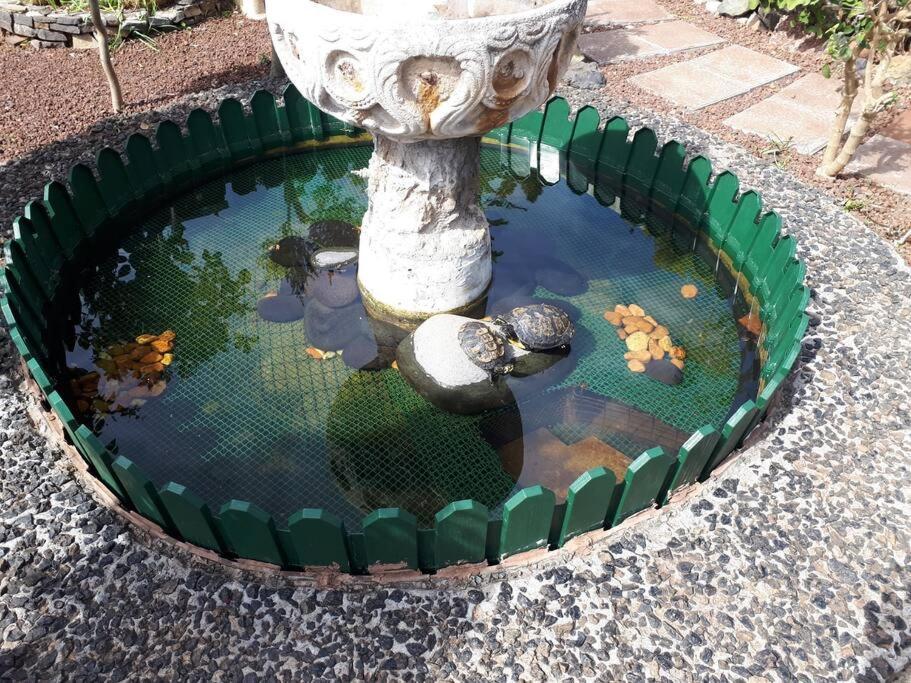 Apartamento Tranquilo En Una Casa Con Jardin La Laguna  Bagian luar foto