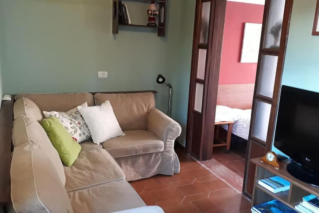 Apartamento Tranquilo En Una Casa Con Jardin La Laguna  Bagian luar foto