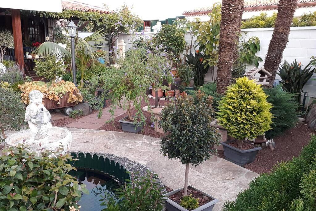 Apartamento Tranquilo En Una Casa Con Jardin La Laguna  Bagian luar foto
