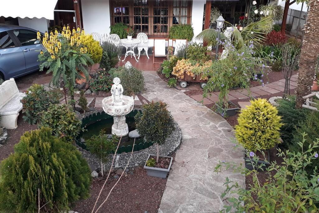 Apartamento Tranquilo En Una Casa Con Jardin La Laguna  Bagian luar foto