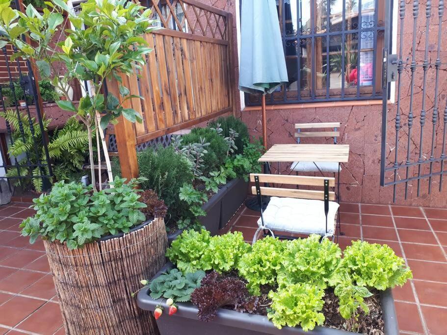 Apartamento Tranquilo En Una Casa Con Jardin La Laguna  Bagian luar foto