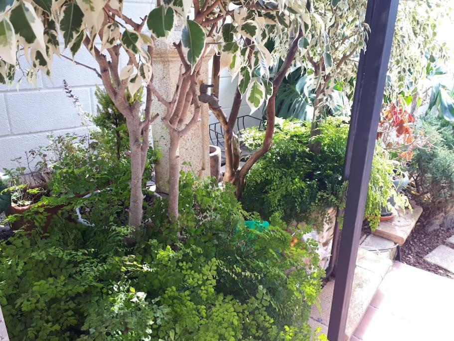 Apartamento Tranquilo En Una Casa Con Jardin La Laguna  Bagian luar foto