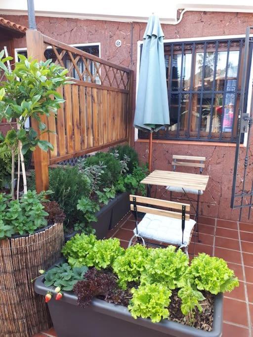 Apartamento Tranquilo En Una Casa Con Jardin La Laguna  Bagian luar foto