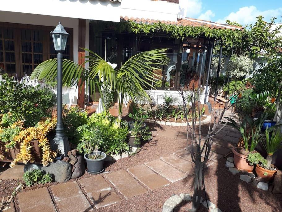Apartamento Tranquilo En Una Casa Con Jardin La Laguna  Bagian luar foto